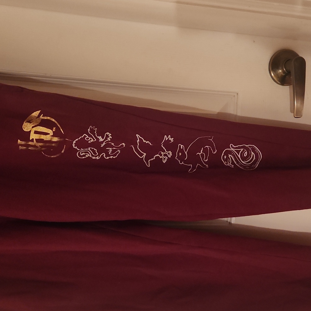Harry Potter houses joggers Large - Picture 2 of 3